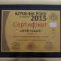 Руководитель года 2015